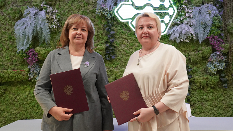 Санкт-Петербург и Вологодская область расширяют сотрудничество в сфере образования